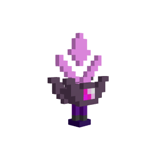 Bifide d'Améthyste